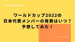 ワールドカップ22の開催国はどこで開催される 日本との時差は もやしの窓